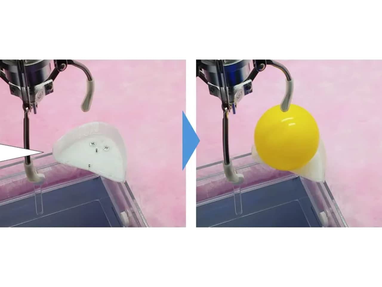 ラストステージ(カプセル対応)